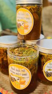 Quả Kha Tử Kết Hợp Với Hoa Đu Đủ Đực