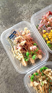 Paket Box bunga kering bunga resin ukuran kotak kecil