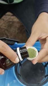 โปร2 แถม1 โดส Co2 + โดส เขียว สำหรับเกษตรกรชาวสวนยาง เพิ่มน้ำยาง5 เท่า ยึดอายุต้นยาง หน้ายางนิ่มกรีดง่าย