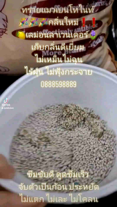 ✅ ซึ่งสำคัญ! 3 ลิตร 3 ถุง แถม 1 ลิตร 🎉 ทรายแมว เบนโทไนท์ กลิ่นใหม่ และเลม่อนลาเวนเดอร์ ทรายแมว แถมฟรี ให้สนุกกับทุกคน!