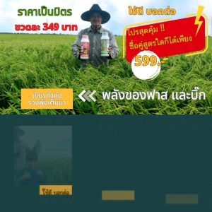 อะมิโนน้ำ เร่งเเป้ง เร่งเต่ง เพิ่มน้ำนม เพิ่มน้ำหนัก ลดการหลุดร่วง - ธรรมชาติ 500ml