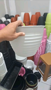 GROSIR 1/2 LUSIN Pot Tawon 30 / Pot Tanaman / Pot Bunga / Pot Plastik