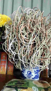 Nhang Thơm Cuộn Tàn Phong Thủy - Sản Phẩm Chất Lượng Tàn Hương Cuộn Tự Nhiên Giá Trị Phong Thủy Thích Hợp Cho Thờ Cúng Lễ Bái Thiền Định Tụng Kinh Khai Trương Xông Nhà