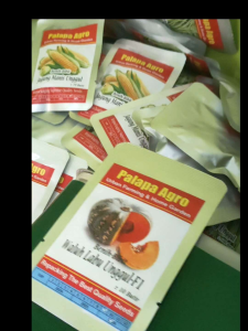 labu waluh f1 - benih bibit waluh labu kuning f1 isi skitar 10 butir