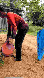 แกลบดิบ ใหม่จากโรงสี ปูพื้นเล้า หมักปุ๋ย เพาะต้นกล้า ขนาด 2-10 กิโลกรัม