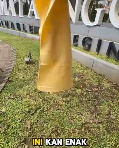 66 X 43 CM LAP KANEBO JUMBO UKURAN 66 X 43 CM KAIN LAP DAYA SERAT TINGGI BESAR MULTIFUNGSI 66 X 43 / KANEBO JUMBO