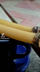 PIPA ONCE GG GADIN6 TULANG G4J4H LIST PERAK