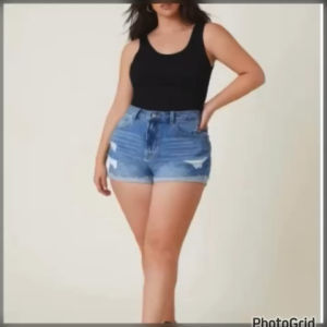 Free Size & Plus Size Top Sleeveless Top Tuck In Top (Andrea)