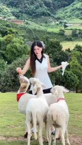 มินิเดรส Overlappedเป็นชุดติดกันนะคะ ดีเทลคล้ายใส่2ชิ้น เพิ่มความเด่นของชุดด้วยการแต่งสลับสี สวยมากกก