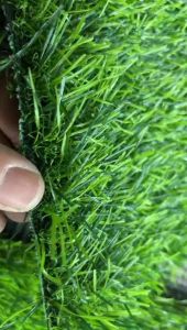Rumput Sintetis Swiss 3cm Ukuran 100cm x 20cm Termurah 2025-karpet rumput sintetis-rumput sintetis murah-rumput sintetis meteran