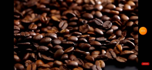 Premium Excelsa Coffee BEANS 100g in Vacuum pouch Best for Brewed Coffee Espresso French Press and more