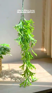 Daun Pakis Juntai Plastik & Daun Rambat Tanduk Rusa Artificial: Aksesoris Dekorasi Interior