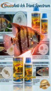 Danios Anti-Ich: Fast-Acting Parasite Cure for Fresh & Saltwater
