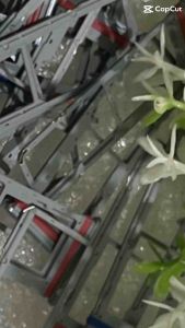 Khay sim vivo y22s hàng chuẩn giá tốt