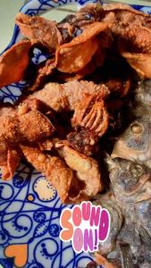 Dried squid snack in transparent plastic bag held in hand with outdoor background.