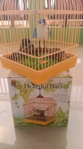 Mainan ANAK Burung Bergerak#Burung berkicaw