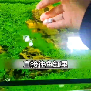 LEBAO Fish Chlorine Remover 100g | Aquarium Water Purifier | Stabilize Aquatic Water Quality