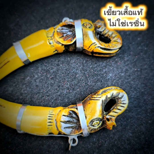 เขี้ยวเสืoแกะ หลวงพ่อปาน วัดคลองด่าน เขียวเสืo แท้ ต่อชิ้น