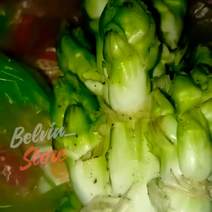 (-+1.000 butir) Benih sayuran sawi baby jepang | wawa cai import [kemasan pabrik]