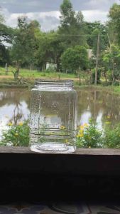 คลอโรฟิลล์ กิฟฟารีน ล้างสารพิษ อาหารเสริมเพื่อสุขภาพ ส่งฟรี