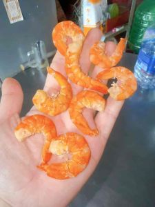 500g Tôm khô thẻ size cồ siêu to y hình