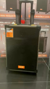 NDR 12 Inch Karaoke Speaker with Trolley & Wireless Mic