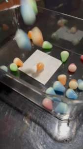 เยลลี่ปีโป้กรอบยกถุงขนาด1กิโล แบรนด์ LECHEO