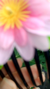 หวีสับดกไม้ หวีสับประดับศีรษะ หวีสับประดับงานเทศกาล สวยๆ หวีสับดอกไม้ประดับผมรัดเกล้า (พร้อมส่ง)