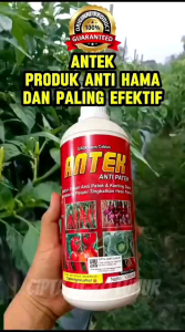 Pupuk Antek Kemasan 1Liter Beli 3 free 1 botol pupuk Antek Anti Patek dan keriting daun terampuh