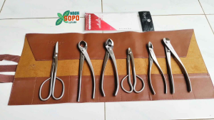Alat Bonsai Catok Cembung Medium Ryuga Stenlis 21 cm RS 08
