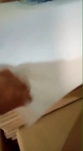 Kertas Layang Layang Terbaik: Desain Unik & Ramah Lingkungan