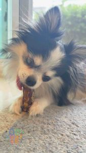 หินปูนหลุดกระจุย^^คอเป็ดอบแห้งขนมขัดฟันสุนัขช่วยลดกลิ่นปากและหินปูน