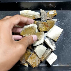 Batu Posil Palm Asem Super / Lempengan Bahan Posil Palm