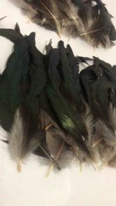 100 PCS DIY Feathers | Buntot Maiksi | Arts and Crafts | Authentic Chicken Feathers