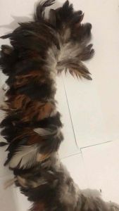 1 Yard DIY Feathers | Bilog | Arts and Crafts | Authentic Chicken Feathers