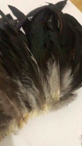1 Yard DIY Feathers | Buntot Maiksi | Arts and Crafts | Authentic Chicken Feathers