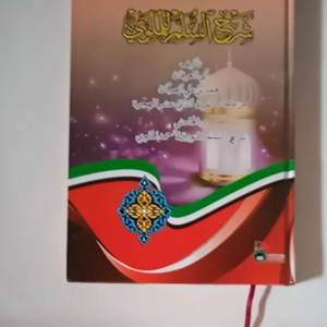 Kitab Hasyiyah Shoban Ala Syarah Sulamul Malawi ala Matan Sulamul Munawroq