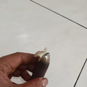 Pisau Tulup 23mm Kluar 4: Alat Serut Praktis & Tahan Lama