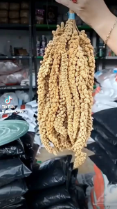 Jewawut Krem dan Merah Tangkai Isi 1 Kg Pakan Burung Hamster