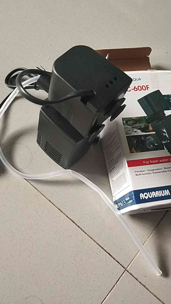 Buyer review video 2