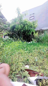 Pisau Dapur Seset Daging Sayur & Buah