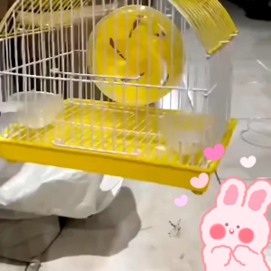 Kandang Hamster-Tempat tinggl hamster Murah 03 +bonus makanan hamster