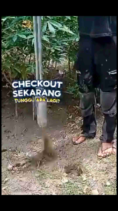 alat penggali tanahalat lubang tanahalat tanam tiangalat tanam pohon (diameter 15)