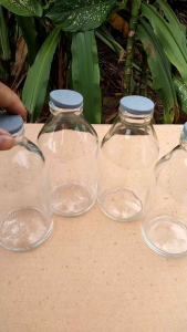 BOTOL KACA ASI 250ML Barang Rekondisi (isi paket 10 pcs)