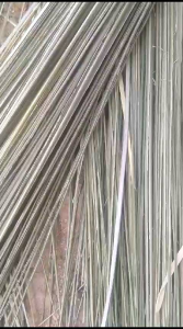 SAPU LIDI DARI AREN MINIM BELI 2 IKAT