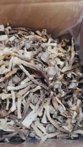 Nấm lộc nhung hàng ngon loại 1/ hàng khô/ TPC AN TUỆ