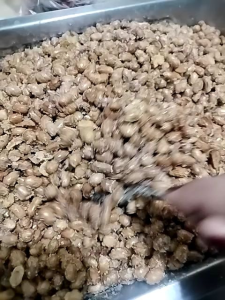 adobong mani ORIGINAL SPECIAL PeanNeths (PREMIUM NEGOSYO PACKAGE 30+2free)