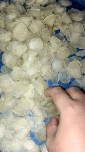 kerupuk nasi/gendak/puli/Karak mentah - 500 gram