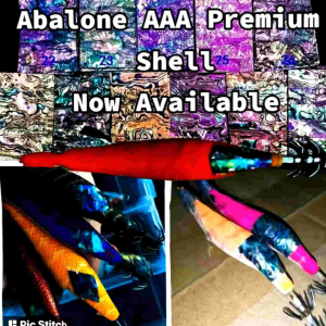 Abalone Paua Mother Of Pearl AAA Premium Grade
