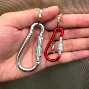 Carabiner D Polos Karabiner Gantungan Kunci
